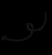 icon Arrow
